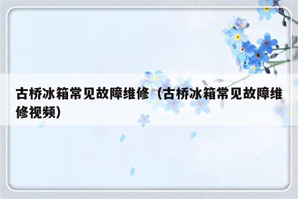 古桥冰箱常见故障维修（古桥冰箱常见故障维修视频）-第1张图片-乐修号