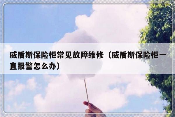 威盾斯保险柜常见故障维修（威盾斯保险柜一直报警怎么办）-第1张图片-乐修号