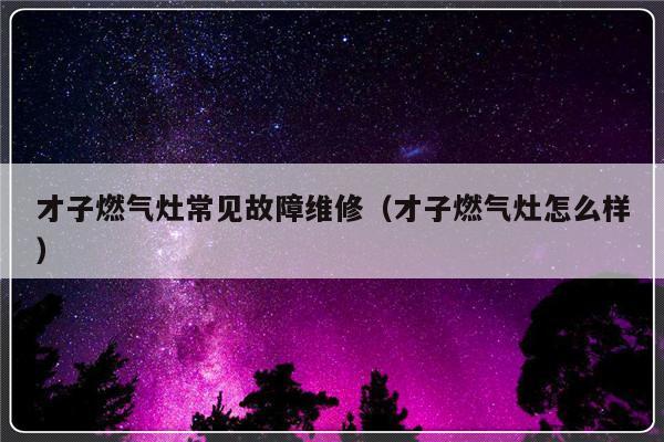 才子燃气灶常见故障维修（才子燃气灶怎么样）-第1张图片-乐修号