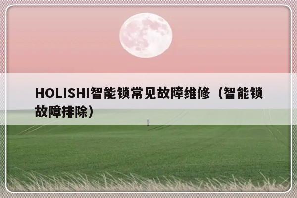 HOLISHI智能锁常见故障维修（智能锁故障排除）-第1张图片-乐修号