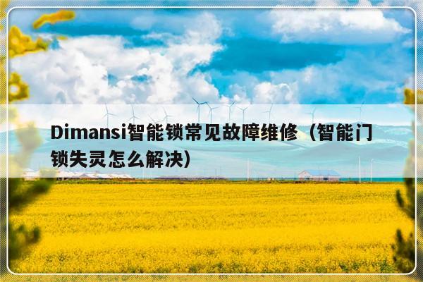 Dimansi智能锁常见故障维修（智能门锁失灵怎么解决）-第1张图片-乐修号