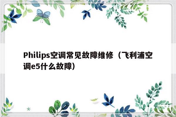 Philips空调常见故障维修（飞利浦空调e5什么故障）-第1张图片-乐修号