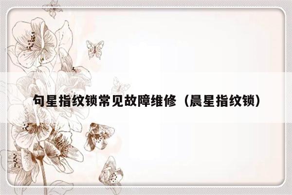 句星指纹锁常见故障维修（晨星指纹锁）-第1张图片-乐修号