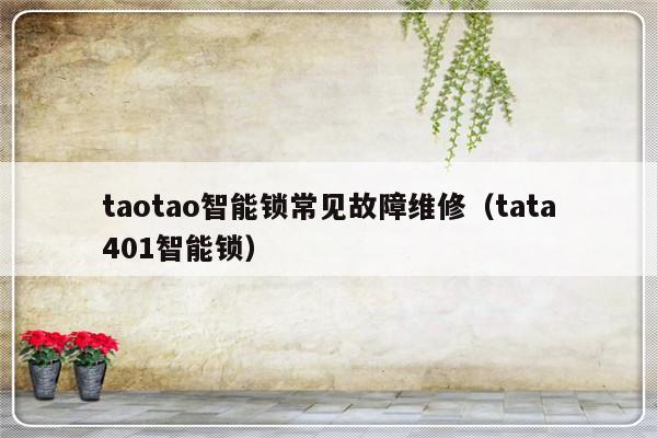 taotao智能锁常见故障维修（tata401智能锁）-第1张图片-乐修号