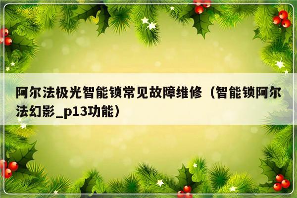 阿尔法极光智能锁常见故障维修（智能锁阿尔法幻影_p13功能）-第1张图片-乐修号