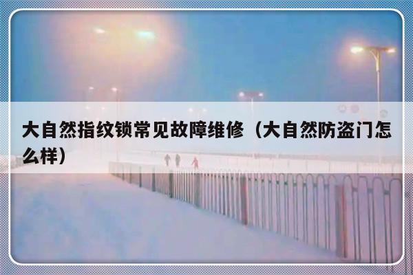 大自然指纹锁常见故障维修（大自然防盗门怎么样）-第1张图片-乐修号