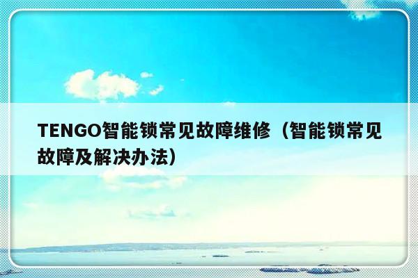 TENGO智能锁常见故障维修（智能锁常见故障及解决办法）-第1张图片-乐修号