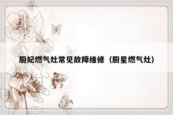 厨妃燃气灶常见故障维修（厨星燃气灶）-第1张图片-乐修号