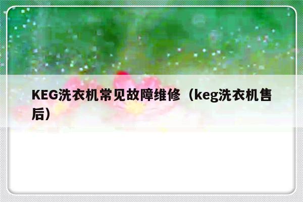 KEG洗衣机常见故障维修（keg洗衣机售后）-第1张图片-乐修号