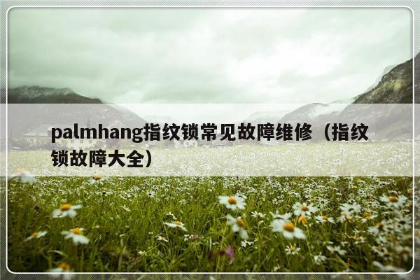 palmhang指纹锁常见故障维修（指纹锁故障大全）-第1张图片-乐修号