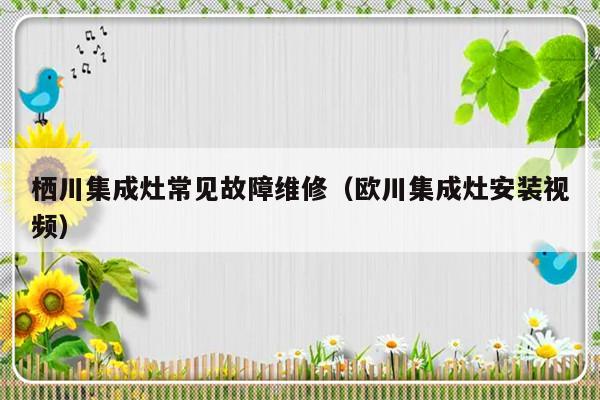 栖川集成灶常见故障维修（欧川集成灶安装视频）-第1张图片-乐修号