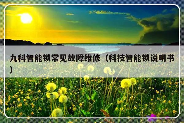 九科智能锁常见故障维修（科技智能锁说明书）-第1张图片-乐修号