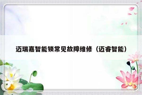 迈瑞嘉智能锁常见故障维修（迈睿智能）-第1张图片-乐修号