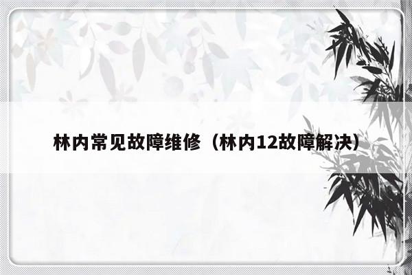 林内常见故障维修（林内12故障解决）-第1张图片-乐修号