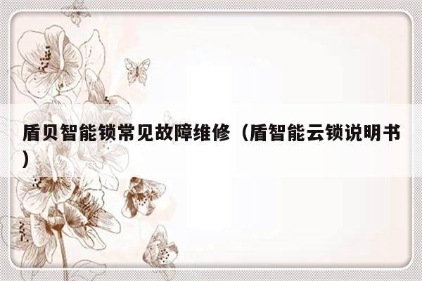 盾贝智能锁常见故障维修（盾智能云锁说明书）-第1张图片-乐修号