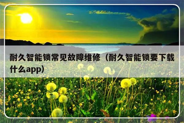 耐久智能锁常见故障维修（耐久智能锁要下载什么app）-第1张图片-乐修号