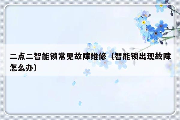 二点二智能锁常见故障维修（智能锁出现故障怎么办）-第1张图片-乐修号