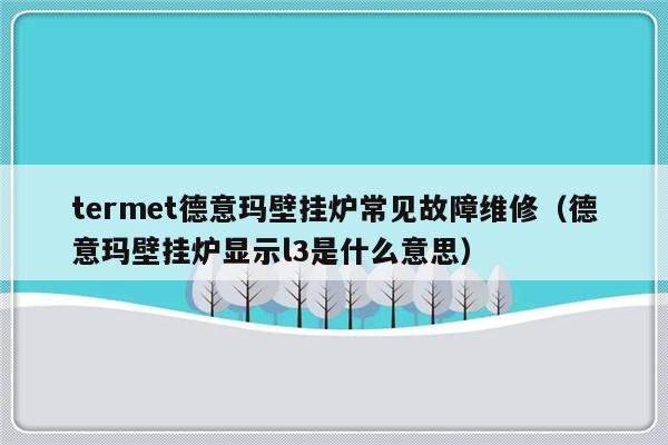 termet德意玛壁挂炉常见故障维修（德意玛壁挂炉显示l3是什么意思）-第1张图片-乐修号