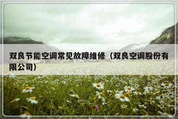 双良节能空调常见故障维修（双良空调股份有限公司）-第1张图片-乐修号