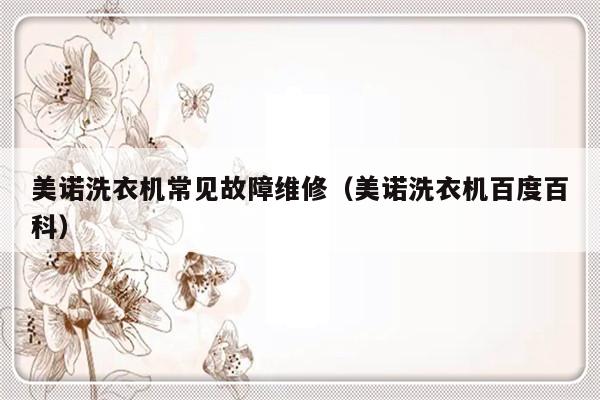 美诺洗衣机常见故障维修（美诺洗衣机百度百科）-第1张图片-乐修号