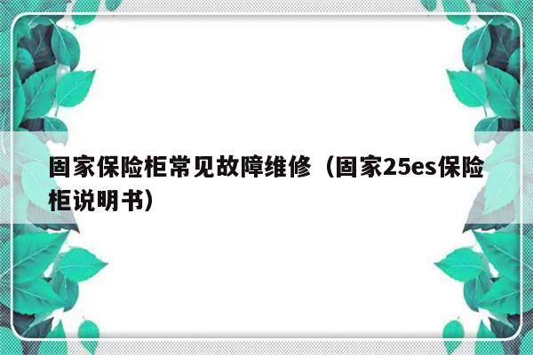 固家保险柜常见故障维修（固家25es保险柜说明书）-第1张图片-乐修号