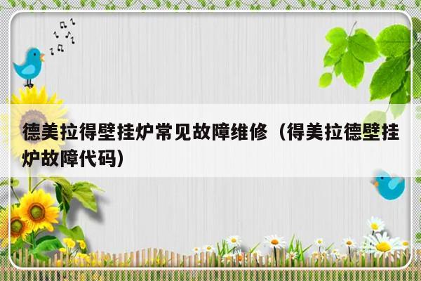 德美拉得壁挂炉常见故障维修（得美拉德壁挂炉故障代码）-第1张图片-乐修号