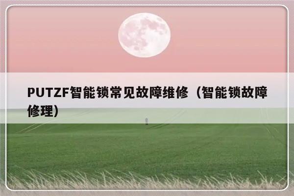 PUTZF智能锁常见故障维修（智能锁故障修理）-第1张图片-乐修号