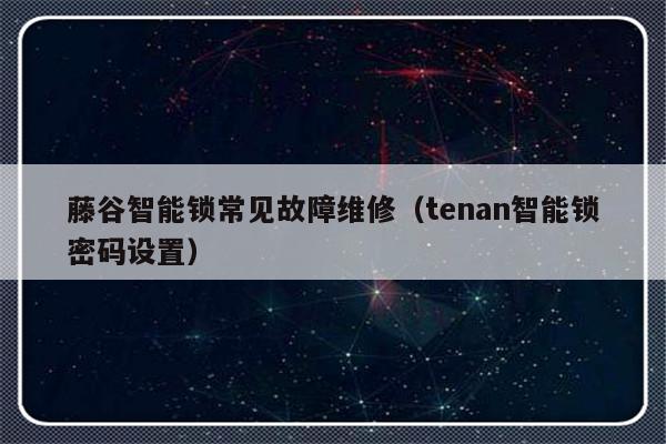 藤谷智能锁常见故障维修（tenan智能锁密码设置）-第1张图片-乐修号