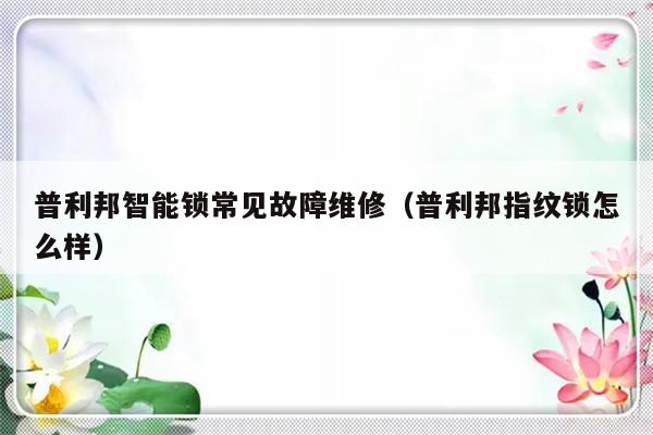 普利邦智能锁常见故障维修（普利邦指纹锁怎么样）-第1张图片-乐修号