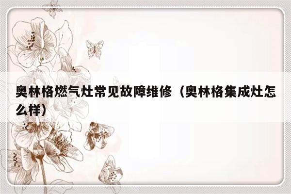 奥林格燃气灶常见故障维修（奥林格集成灶怎么样）-第1张图片-乐修号