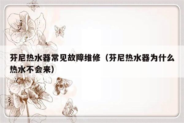 芬尼热水器常见故障维修（芬尼热水器为什么热水不会来）-第1张图片-乐修号