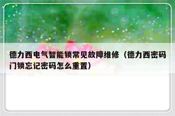 德力西电气智能锁常见故障维修（德力西密码门锁忘记密码怎么重置）-第1张图片-乐修号