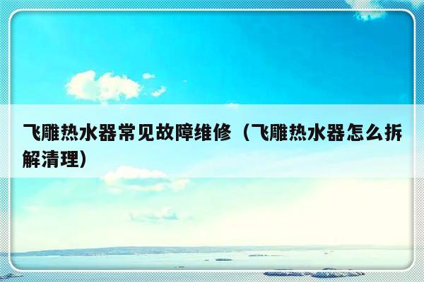 飞雕热水器常见故障维修（飞雕热水器怎么拆解清理）-第1张图片-乐修号