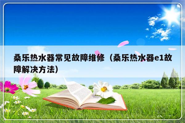 桑乐热水器常见故障维修（桑乐热水器e1故障解决方法）-第1张图片-乐修号