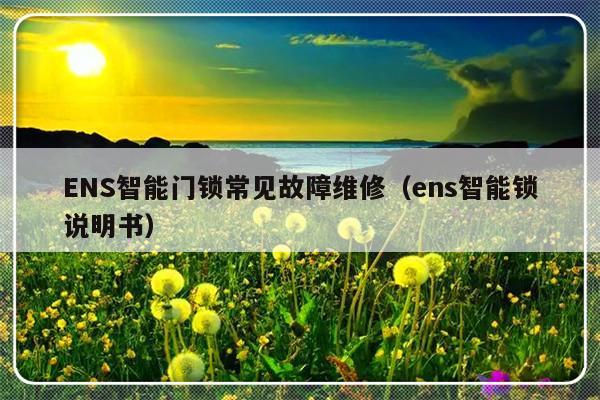 ENS智能门锁常见故障维修（ens智能锁说明书）-第1张图片-乐修号