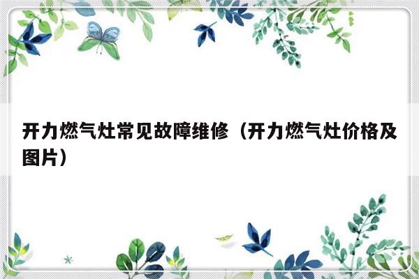 开力燃气灶常见故障维修（开力燃气灶价格及图片）-第1张图片-乐修号