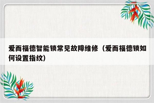 爱而福德智能锁常见故障维修（爱而福德锁如何设置指纹）-第1张图片-乐修号