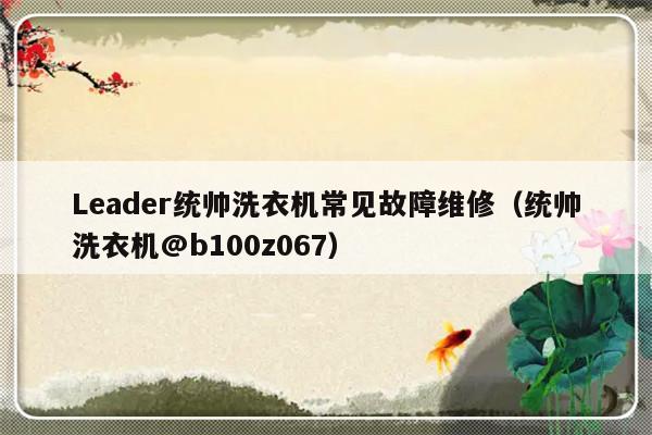 Leader统帅洗衣机常见故障维修（统帅洗衣机@b100z067）-第1张图片-乐修号