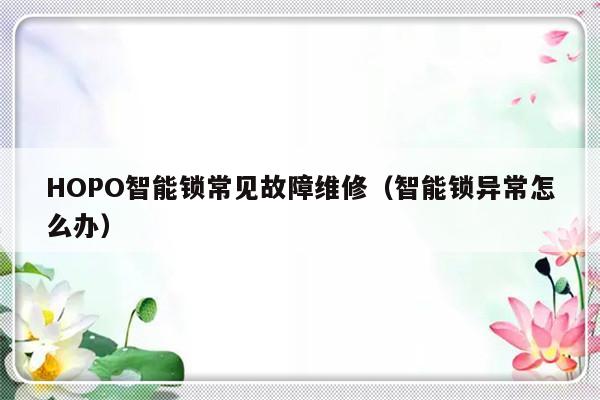 HOPO智能锁常见故障维修（智能锁异常怎么办）-第1张图片-乐修号