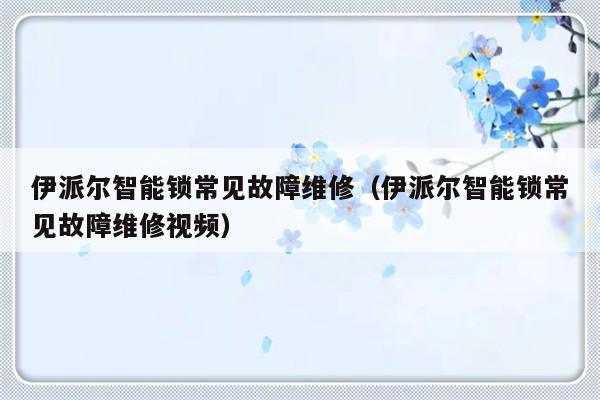 伊派尔智能锁常见故障维修（伊派尔智能锁常见故障维修视频）-第1张图片-乐修号