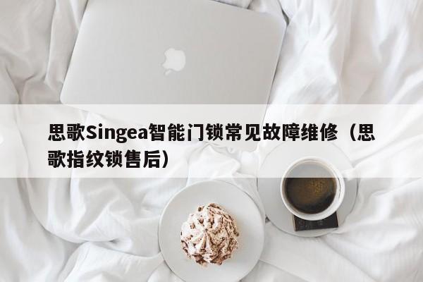 思歌Singea智能门锁常见故障维修（思歌指纹锁售后）-第1张图片-乐修号