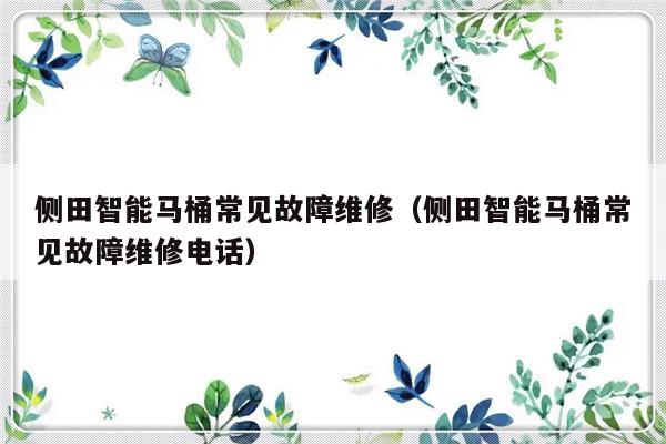 侧田智能马桶常见故障维修（侧田智能马桶常见故障维修电话）-第1张图片-乐修号