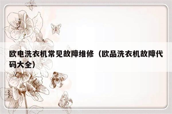 欧电洗衣机常见故障维修（欧品洗衣机故障代码大全）-第1张图片-乐修号