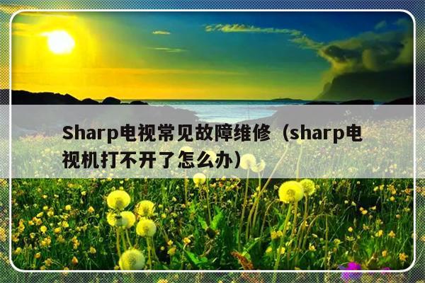 Sharp电视常见故障维修（sharp电视机打不开了怎么办）-第1张图片-乐修号