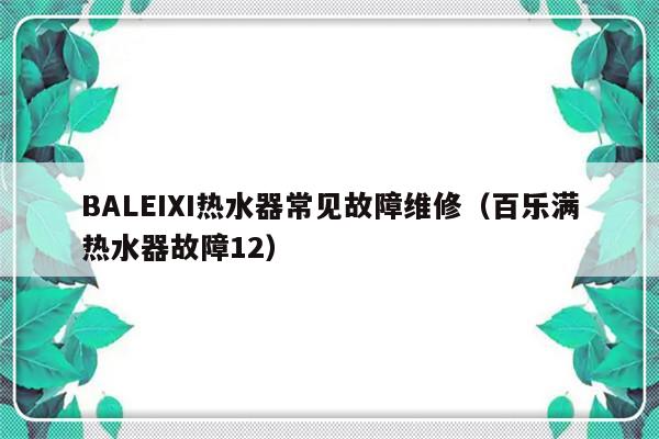 BALEIXI热水器常见故障维修（百乐满热水器故障12）-第1张图片-乐修号