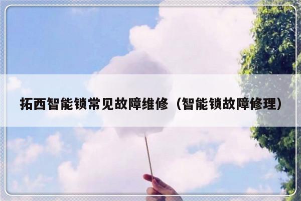 拓西智能锁常见故障维修（智能锁故障修理）-第1张图片-乐修号