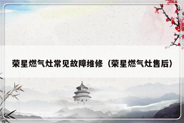 荣星燃气灶常见故障维修（荣星燃气灶售后）-第1张图片-乐修号