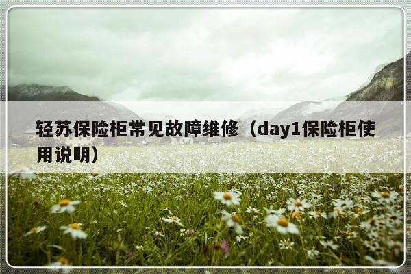 轻苏保险柜常见故障维修（day1保险柜使用说明）-第1张图片-乐修号