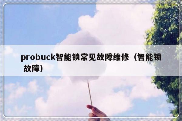 probuck智能锁常见故障维修（智能锁 故障）-第1张图片-乐修号