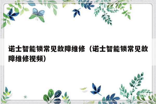 诺士智能锁常见故障维修（诺士智能锁常见故障维修视频）-第1张图片-乐修号